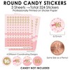 Big Dot of Happiness Sweet 16 - 16th Birthday Party Small Round Candy Stickers - Party Favor Labels - 324 Count - 3 of 4