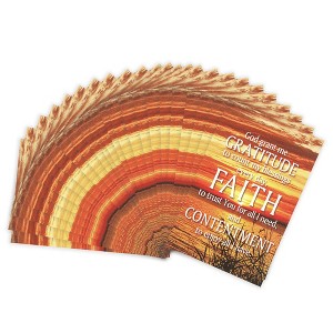 Dicksons Gratitude, Faith, and Contentment 2 x 3 Inch Itty Bitty Bookmark Pack of 24 - 1 of 2