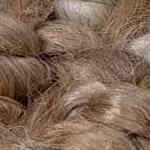 tan, off white, dark brown, medium brown