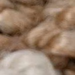 tan, off white, dark brown, medium brown