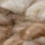 tan, off white, dark brown, medium brown