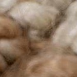 tan, off white, dark brown, medium brown