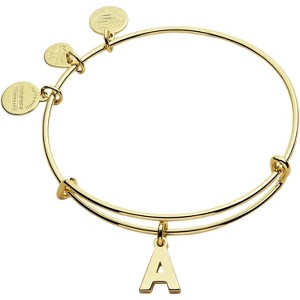 Alex and Ani Expandable Bangle for Women, Initials A to Z Letter Charms, Shiny Finish, 2 to 3.5 in - 1 of 4