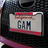 Lewis University Alumni Logo Full Size Standard License Plate Metal Frame - 3 of 4