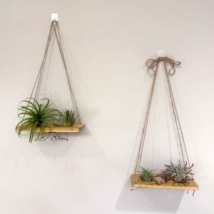 Air Plant Stand and Swing Collection - 1 of 4