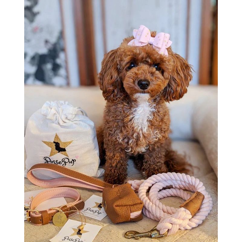 PoisePup – Luxury Pet Dog Waste Bag Holder – Soft Premium Italian Leather Poop Bag Dispenser - Bella Rose, 3 of 4