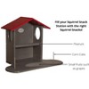 JCS Wildlife Squirrel Snack Station (Small & Large) - 3 of 4