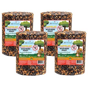 JCS Wildlife Squirrel Stopper Wild Bird Feast Large Cylinder 3.75lbs - 1 of 4