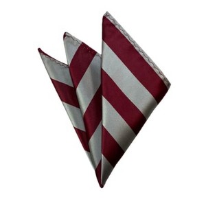 TheDapperTie - Men's College Stripes Woven 10 Inch x 10 Inch Pocket Squares Handkerchief - 1 of 3