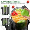 HDZNVF Cold Press Juicer, Masticating Juicer with 5.4" Wide Feed Chute - 3 of 3