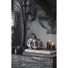 Racxily for Holiday Halloween Decor 9.5" Black Velvet Pumpkin Large - 2 of 4