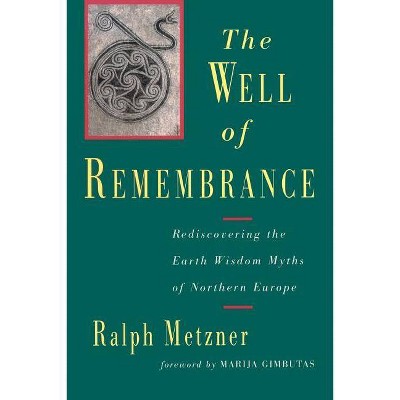 The Well of Remembrance - by  Ralph Metzner (Paperback)