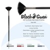Black Swan Synthetic Red Sable Paint Brushes Fan Sets of 2 - Professional Quality Long Handle Paint Brushes in Assorted Shapes and Sizes for Oil, - 2 of 4