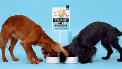 Nood Pet Food Dry Dog Food With Chicken Flavor For Puppy - 6lbs ...