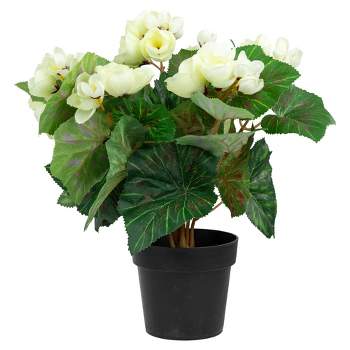 Northlight 11" Cream Potted Silk Begonia Spring Artificial Floral Arrangement