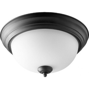 Quorum Lighting 2 - Light Flush Mount in  Noir - 1 of 1