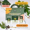 House Plant Care Essentials Kit - WE THE WILD - image 4 of 4