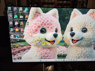 Guest review image 1 of 2, zoom in