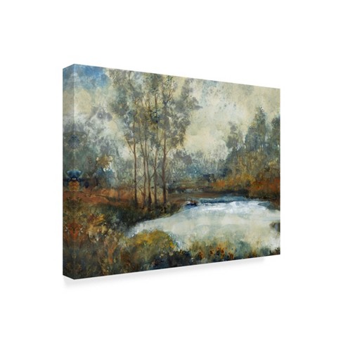 Trademark Fine Art -tim Otoole 'ethereal Light I' Canvas Art - 35''x47 ...