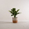 Gray Top Dipped Terracotta Planter - Foreside Home & Garden - 2 of 4