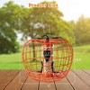 Costway Squirrel-Proof Pumpkin Bird Feeder with Cage 4 Metal Ports 4 Perches Drainage Hole Orange - 3 of 4