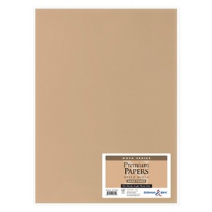 Stillman & Birn Nova Series - Art Paper - Pack of 5 Sheets - 22 x 30 - 150gsm Beige Paper - 1 of 1