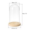 Unique Bargains Wooden Base Plants Home Decor Glass Bell Jar Display Case - 2 of 4