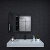 HBEZON Medicine Cabinet with Mirrors, Recess/Wall Mount Bathroom Cabinet, Adjustable Shelves, Soft-Close Hinge, Rectangular, Aluminum - 3 of 4