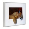 Stupell Industries Wild Cougar Resting Head Interesting Illusion Painting Framed Giclee Art - 2 of 4