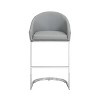 Carolina Living 26" Matteo Upholstered Counter Height Barstool Gray: Chrome, No Assembly, MDF Legs - 4 of 4
