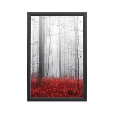 Trademark Fine Art - Philippe Sainte-Laudy 'Little Red Carpet' - Backlit LED Lightbox with Metal Frame - Ready to Hang with Anti-Glare Acrylic Cover