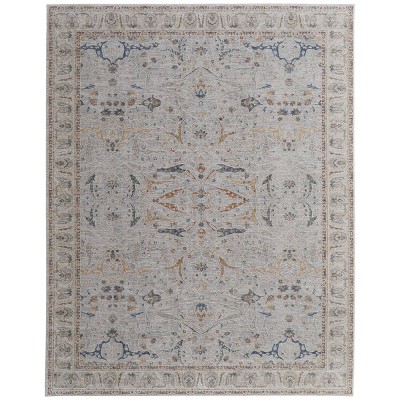 Pasha Transitional Ikat Area Rug