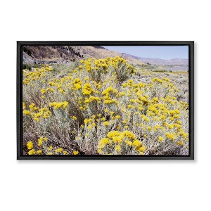 Stupell Industries Yellow Flowers in Arid Meadow Black Framed Floater Canvas Wall Art - 1 of 4