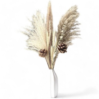 Alilang Pampas Grass and Pinecone Dried Floral Arrangement with Eucalyptus and Wheat, 17.5 Inches - Ivory