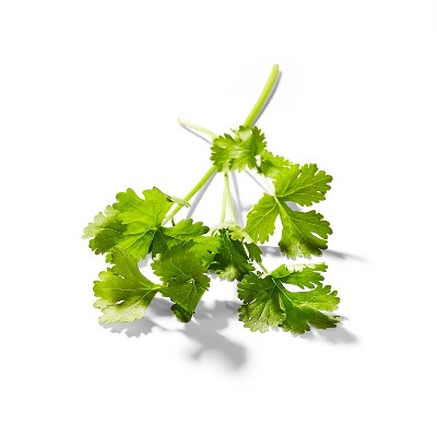 Organic Cilantro - 0.5oz - Good & Gather™
