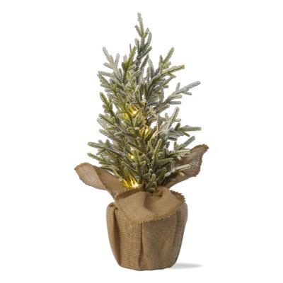tagltd Light-Up LED Pine Tree With Burlap Pot Mini Christmas Tree 6Hr Timer Indoor Use Christmas Xmas Holiday For Tabletop Desktop