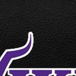minnesota vikings