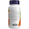 Panax Ginseng 500 mg by Now Foods  -  100 Capsule - 3 of 3