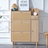 PDTEND Modern Minimalist Rattan Storage Shoe Cabinet - 3 of 4