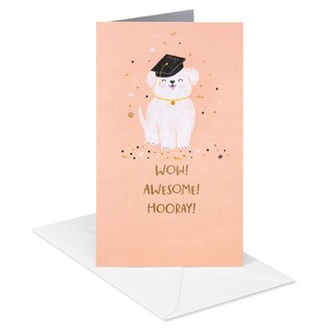 Carlton Cards Graduation Money Gift Card Holder for Anyone So Many Reasons - 1 of 3