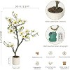 Artificial Magnolia Plants, Faux Flower Trees for Indoor Outdoor , Fake Magnolia Tree with Realistic Flowers, Leaves, Mosses & White Pot - 2 of 4