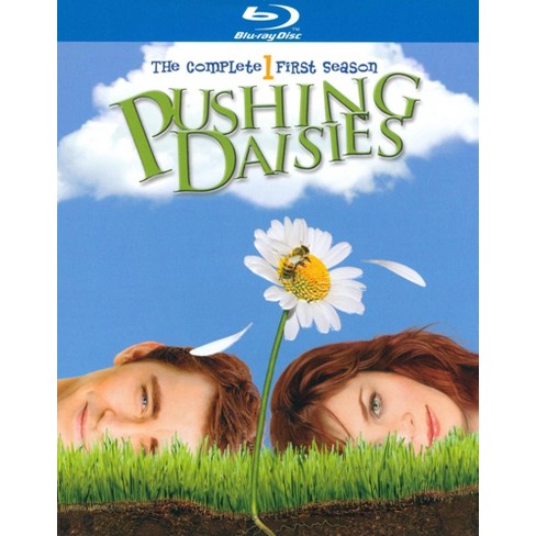 Pushing Daisies: The Complete First Season - image 1 of 1