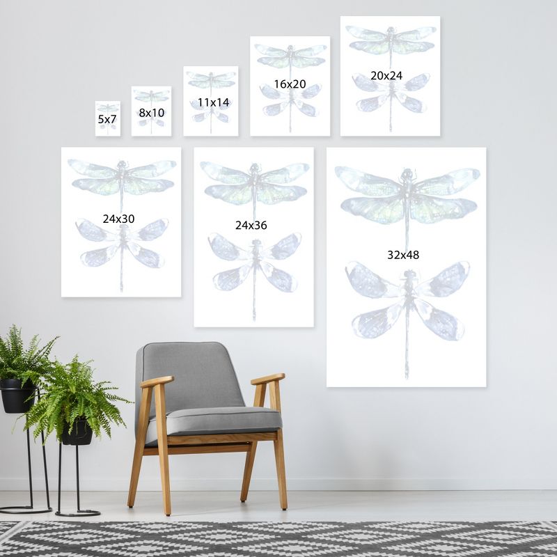 Americanflat Animal Minimalist Dragonfly Wings By Sam Nagel Wrapped Canvas, 6 of 9