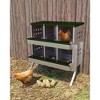 Compartments Galvanized Metal Chicken Nesting Box with Egg Collection Tray, Fake Training Eggs & Perch Rod, Rustproof Poultry Laying Box for Hens - 2 of 4