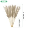Unique Bargains Dried Plants Artificial Durable Small Fluffy Pampas Grass for Home, Office, Party 20 Pcs 21.7 Inch - 3 of 4