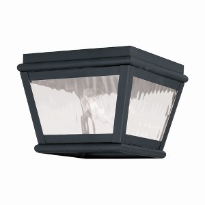 Livex Lighting Exeter 2 - Light Flush Mount in  Black - 1 of 2