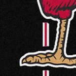 st louis cardinals 1950s