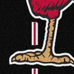 st louis cardinals 1950s