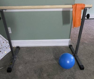 GoFit GoBarre - Portable, Adjustable, Ballet Bar Set Includes Resistance  Bands and Core Ab Ball 