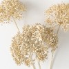 Sullivans Artificial Seed Pod Stem 31"H Off-White - 2 of 3